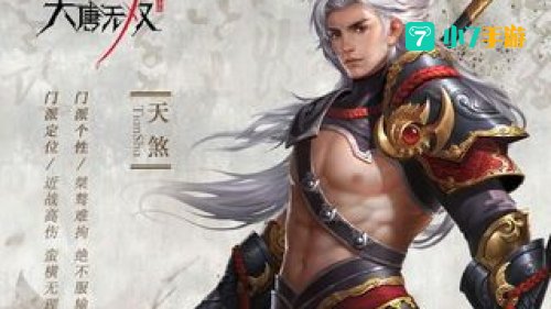 大唐无双职业