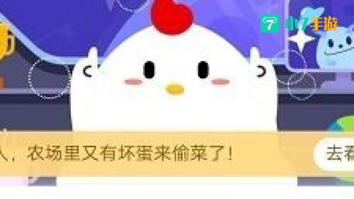 海苔主要是由下列哪种海藻制作而成的