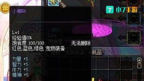 地下城与勇士宠物