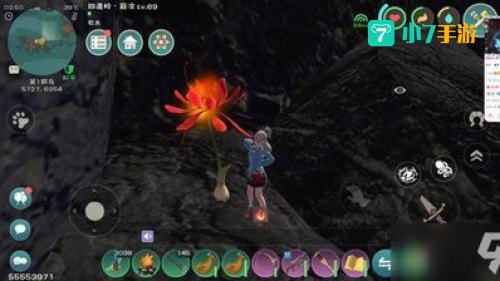 创造与魔法彼岸花怎么摘