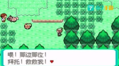 口袋领域